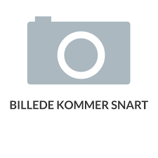 Billede af Carina Lomholt Täkker